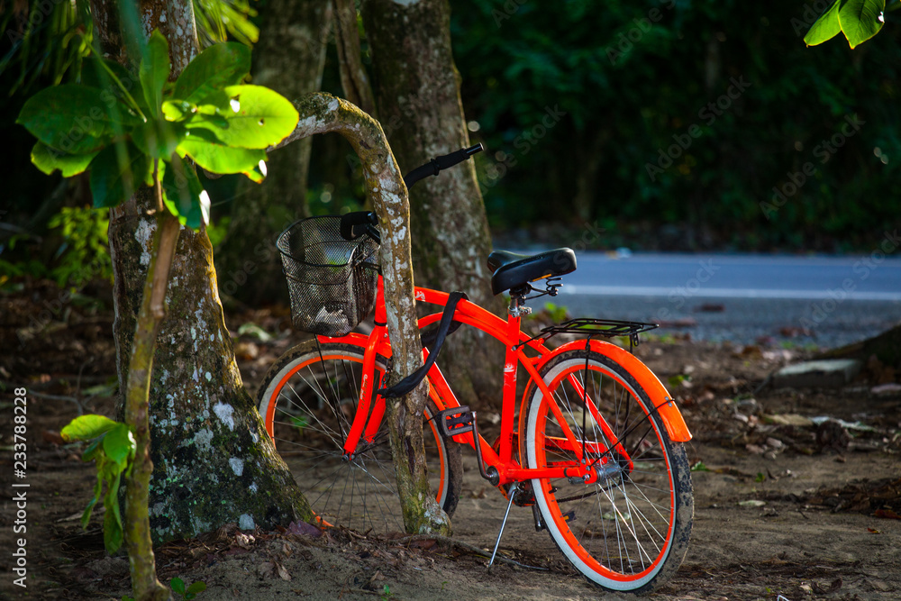 Fototapeta premium Bicycle in Costa Rica at the Caribbean in Puerto Viejo