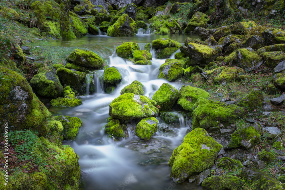 cascade falls over mossy rocks cascade falls over mossy rocks