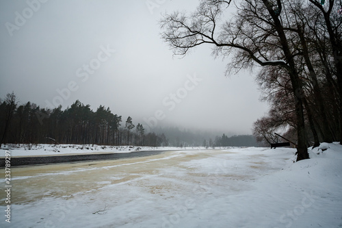 Wallpaper Mural wild forest in winter with high level of snow Torontodigital.ca