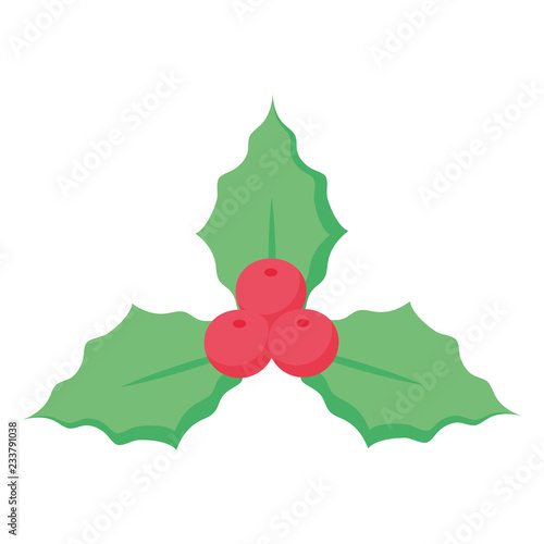 christmas mistle toe icon