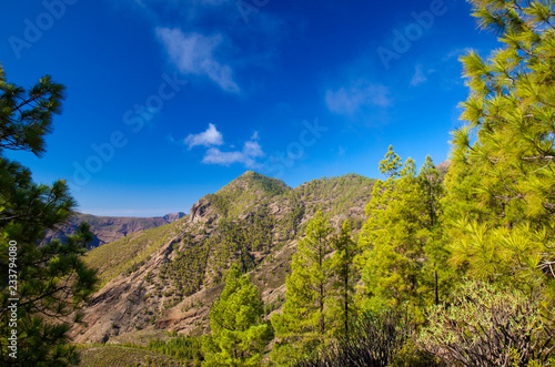 Gran Canaria, November