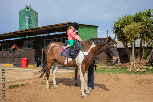 Four years old blonde girl with equestrian cap climb a white and brown horse in a riding school