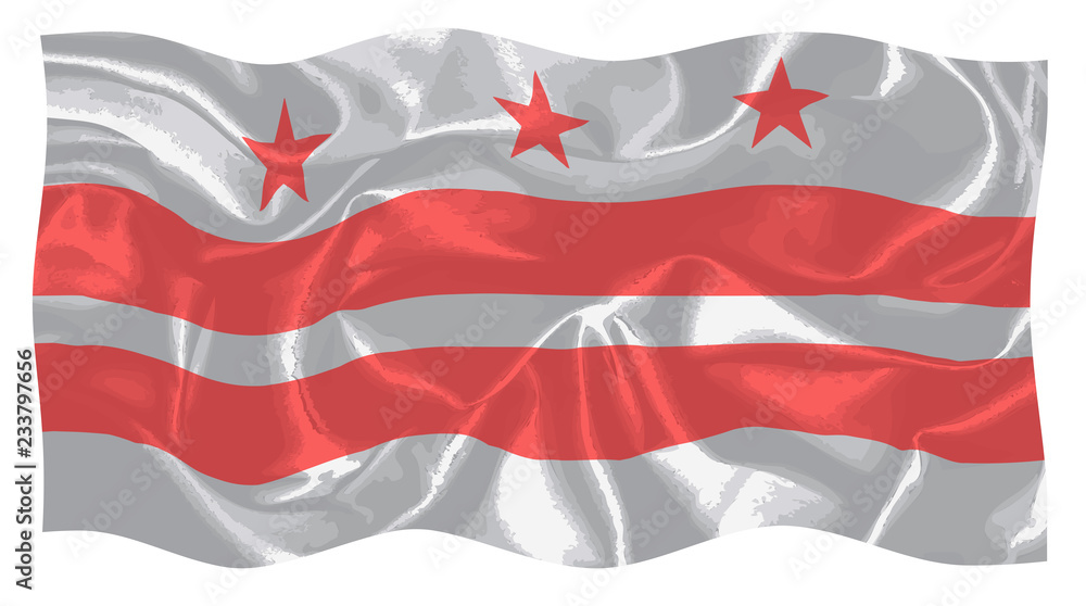 Naklejka premium Washington DC State Silk Flag