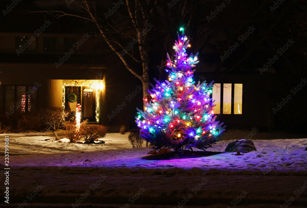 Winter holidays outdoor decoration background. Winter night scene with  glowing in the dark outdoors christmas tree decorated by colorful lights.  Seasonal winter holidays background, good for card. Photos | Adobe Stock