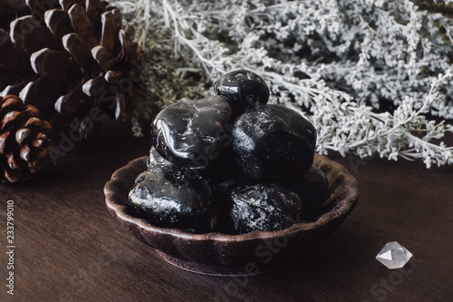 Obsidian and Quartz Point with Dried Foliage and Pinecones