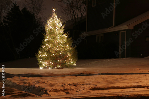 Winter holidays outdoor decoration background. Winter night scene with glowing in the dark front yard christmas tree decorated by lights. Seasonal winter holidays background.