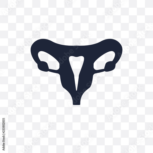 Human Uterus transparent icon. Human Uterus symbol design from Human Body Parts collection. Simple element vector illustration. Can be used in web and mobile.