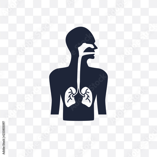 Respiratory System transparent icon. Respiratory System symbol design from Human Body Parts collection. Simple element vector illustration. Can be used in web and mobile.