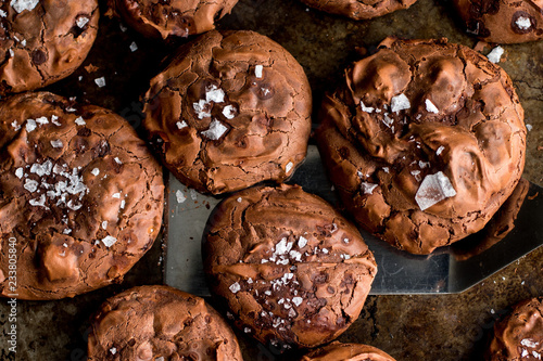 Close up of baked cookies on baking tray photo