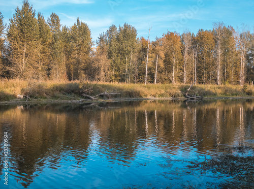 Beautiful autumn view near Grieshaus-Moos-Isar-Bavaria-Germany