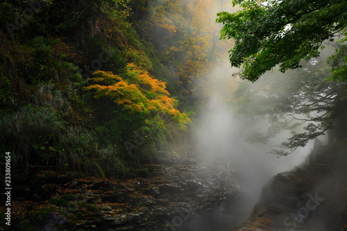紅葉の小安峡 © yspbqh14