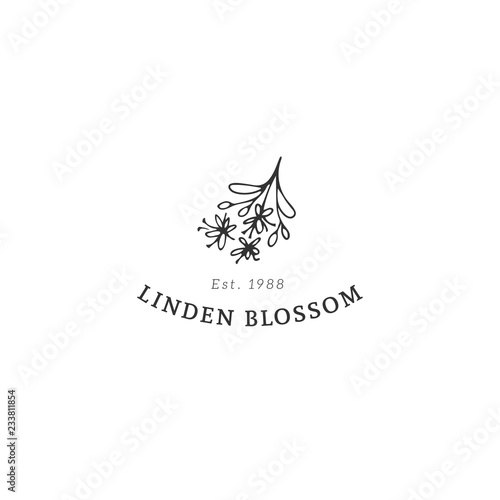 Kitchen logo template, linden blossom. Vector hand drawn object.