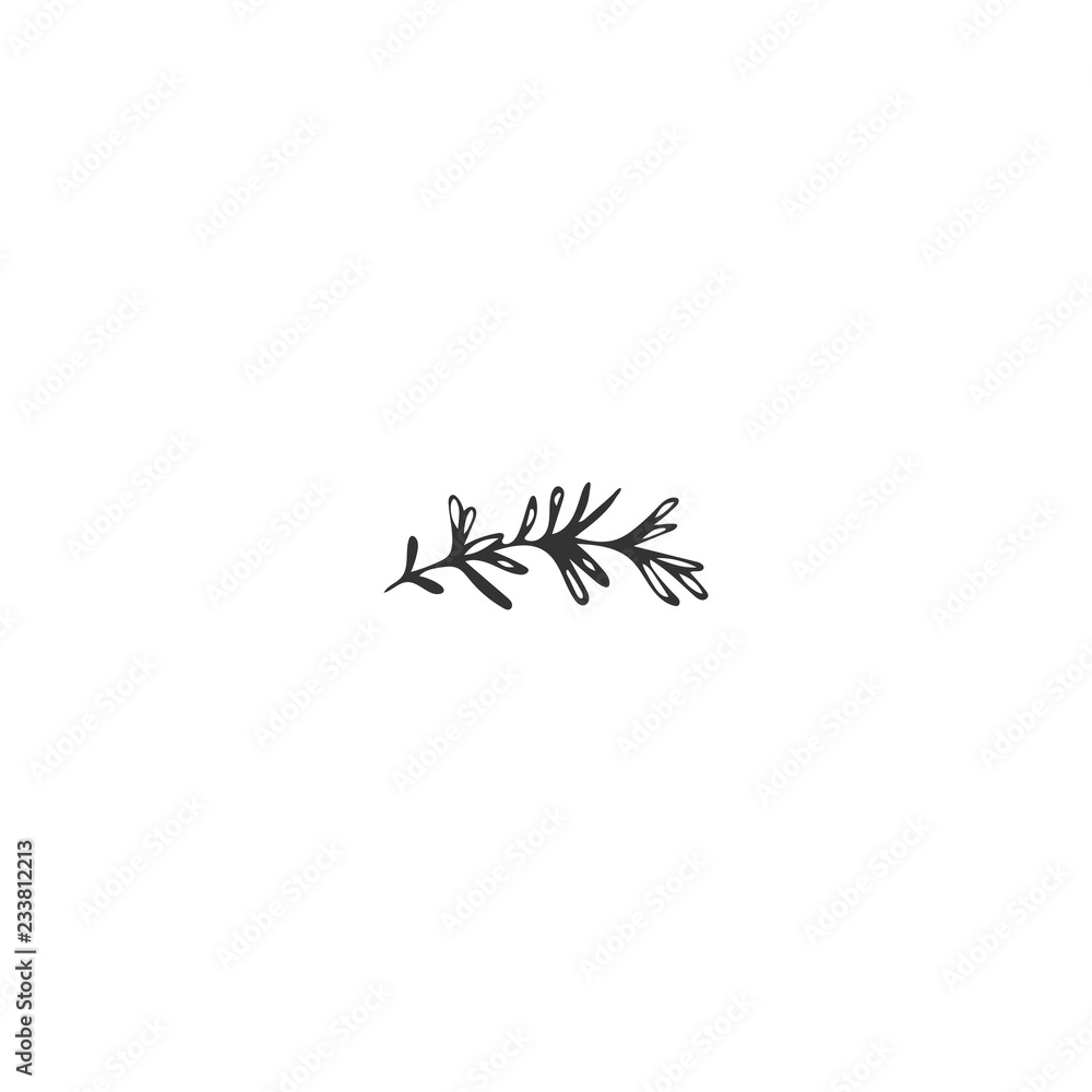 Vector hand drawn object. Kitchen logo element, a sprig of rosemary.