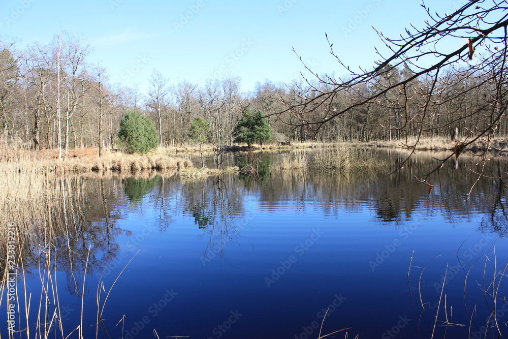 Ostseebad Zingst, Weiher im Osterwald Ostseebad Zingst, Weiher im Osterwald