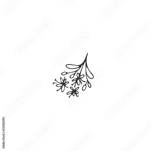 Kitchen logo element, linden blossom. Vector hand drawn object.