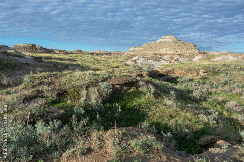 Dinosaur Provincial Park in the Red Deer Valley Dinosaur Provincial Park in the Red Deer Valley