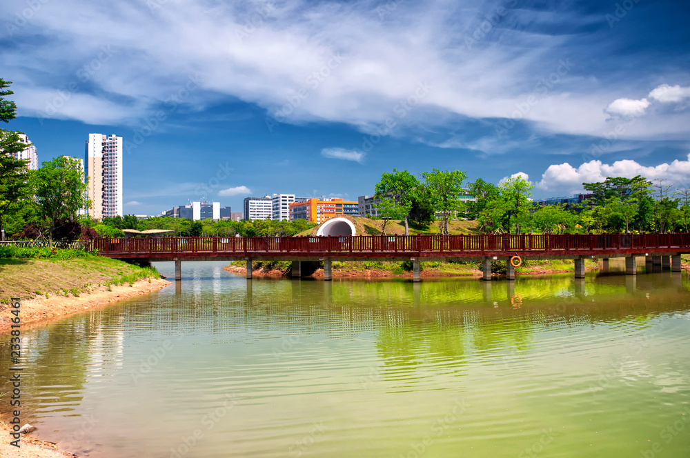 Fototapeta premium Futian Mangrove Ecological Park shenzhen china