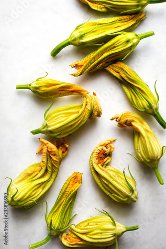 Close up of courgette flowers against white background