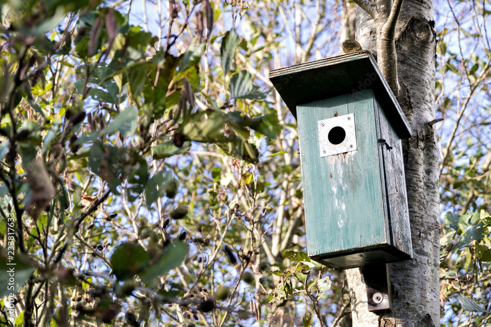 nest box on a tree