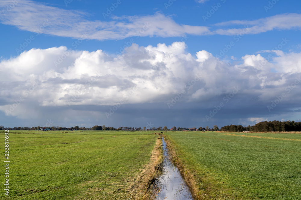 Obraz premium Dutch polder landscape in the province of Friesland