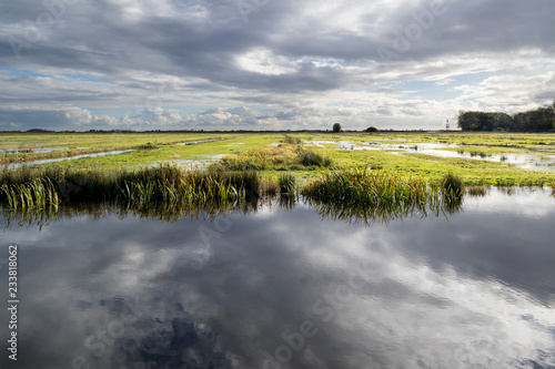 Fotografia Dutch polder landscape in the province of Friesland