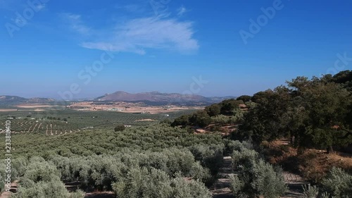 Beautiful lanscape in Andaluc√≠a Spain photo