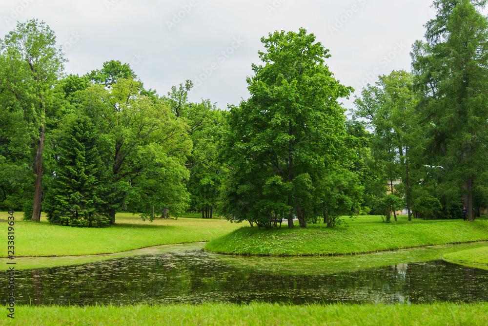 Fototapeta premium small lake in a green park. pure nature. green trees.