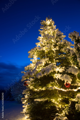 Snow covered pine tree with lighting and red glass ball christmas ornament, outdoor. © Belphnaque