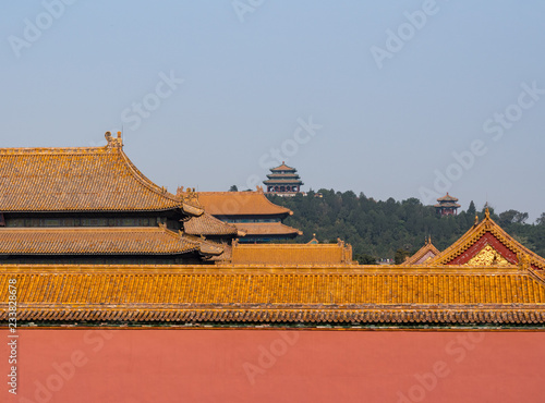 View of roofs and carvings in Forbidden City in Beijing