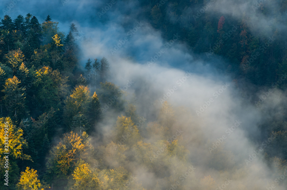 Morning mists and colorful autumn forest landscape in the mountains