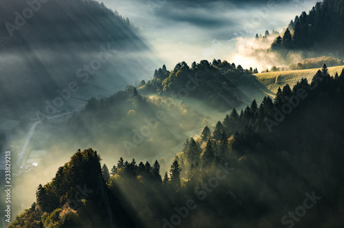 Misty forest and mountain valley landscape, autumn fog, Poland and Slovakia