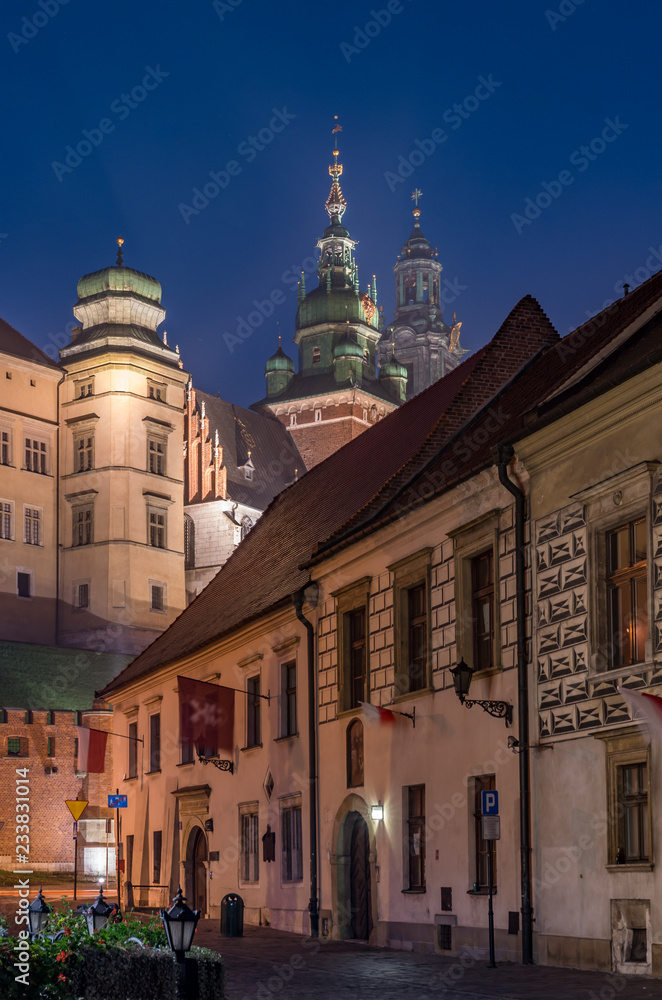 Wawel castle and Kanonicza street in Krakow, illuminated in the night