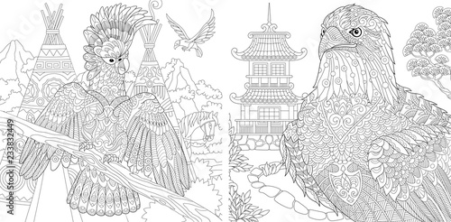 Coloring pages with cockatoo and eagle