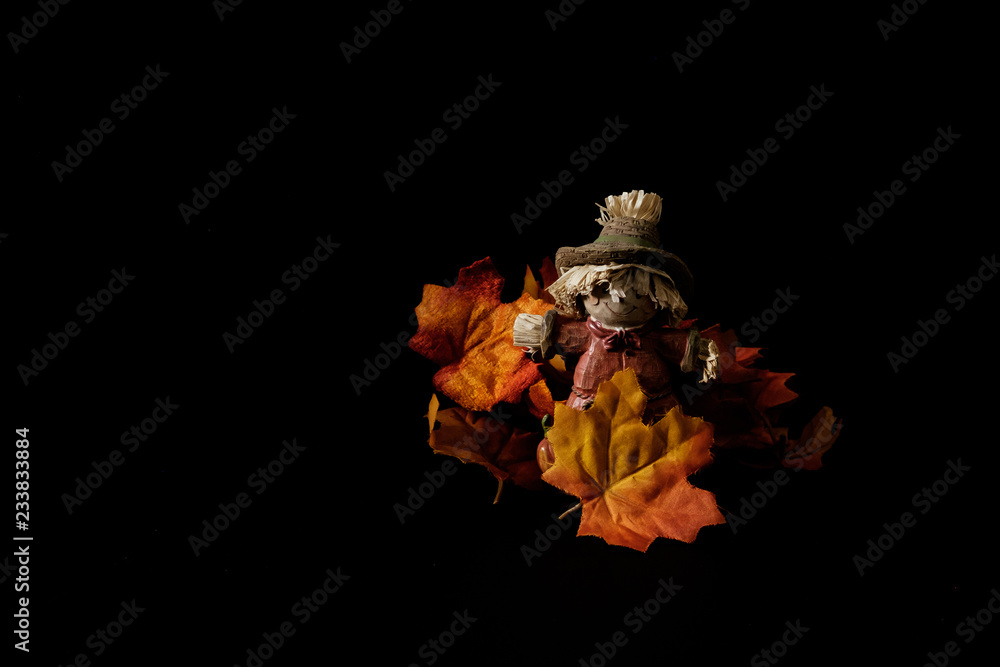 Thanksgiving and autumn leaves and punpkins with scare crow Thanksgiving and autumn leaves and punpkins with scare crow
