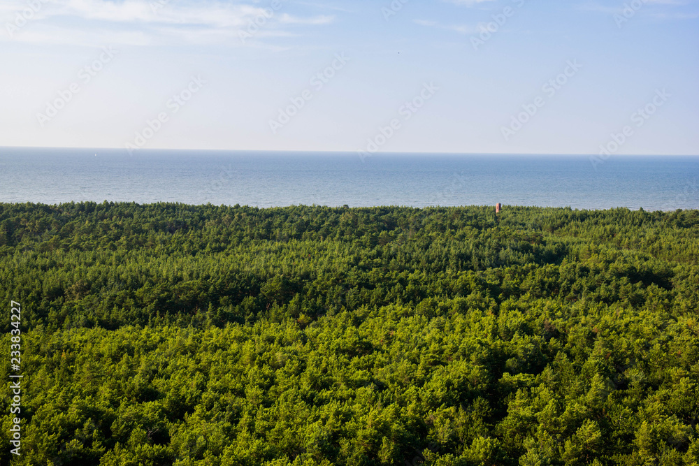 landscape with trees and blue sea