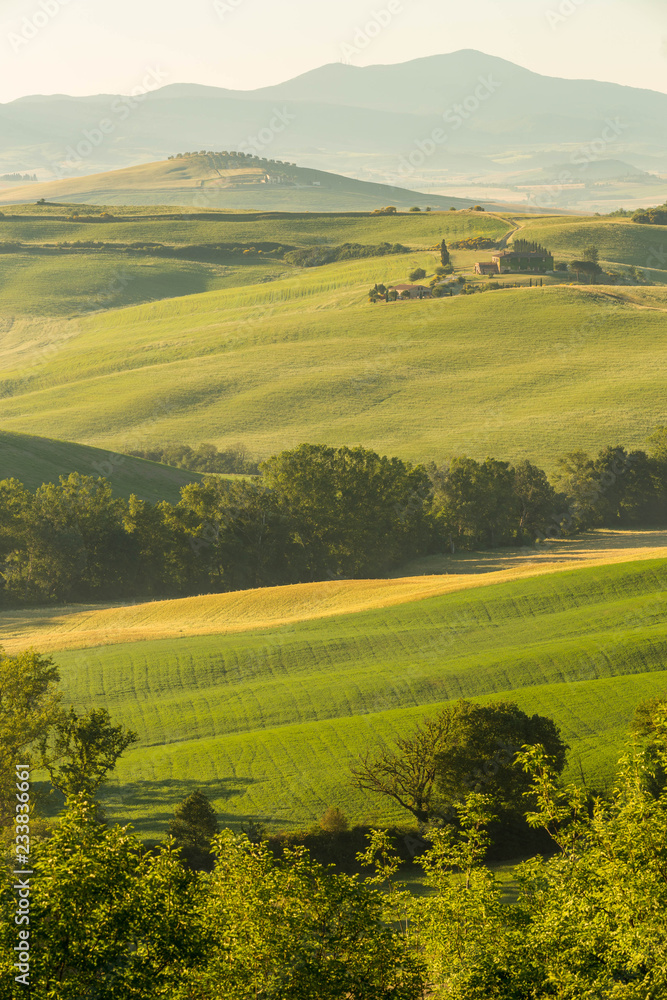 The lovely iconic landscapes of Tuscany in the morning sun