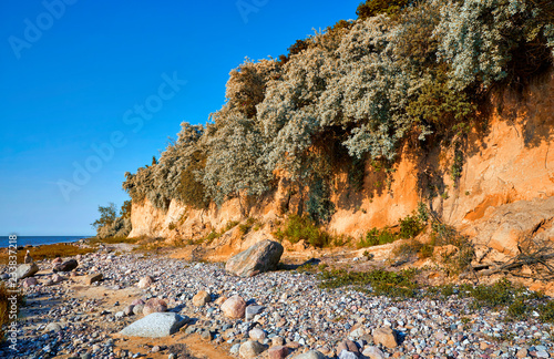 Fototapeta Naklejka Na Ścianę i Meble -  Stony beach on the Baltic Sea cliff in Hohen Wieschendorf. Mecklenburg-Vorpommern