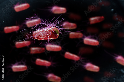 E.Coli Bacteria Cells
