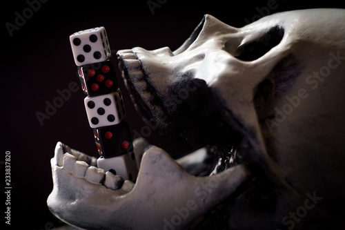 Photography Dice Skull Gambling Concept