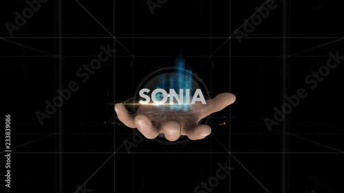 Hand Reveals Hologram Word-SONIA photo