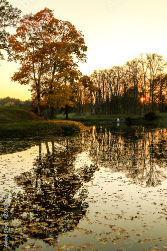reflections of an autumn tree in a pond at sunset