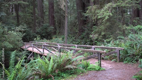 Redwood National Park Jedidiah Smith Bridge photo