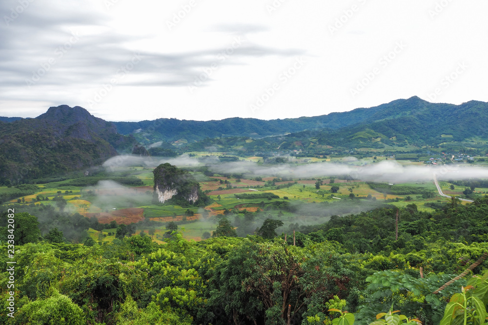 Fototapeta premium Landscape of Phu Lanka mountain forest park in Phayao province Thailand