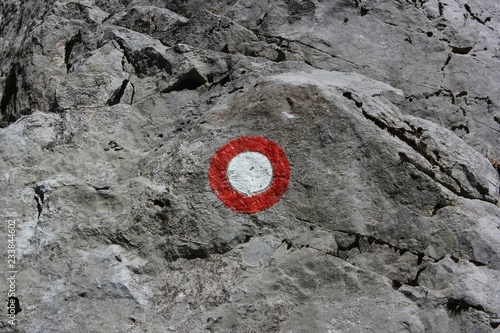 Alpine trail blaze on a rock