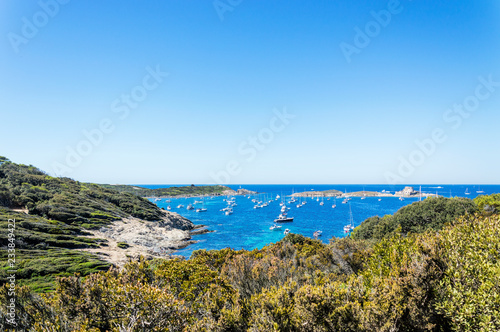 Seacoast in summer of the island of Porquerolles