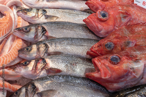 Fresh fish sold at a fish market by fish mongers