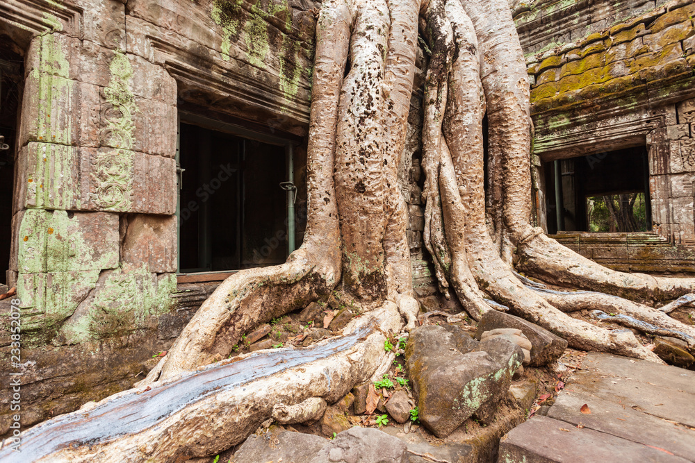 Obraz premium Angkor Wat temple, Siem Reap