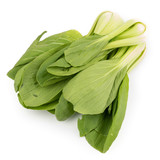 Delicious Fresh Green Baby Pak Choy (Chinese Cabbage) isolated on white background.