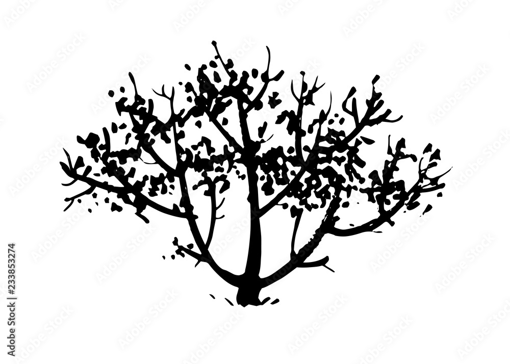 Hand drawn tree, bush silhouette. Ink vector illustration isolated on white background.