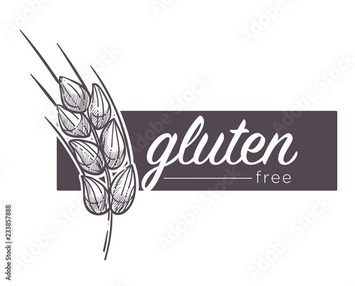 Gluten free products, poster with wheat vector.